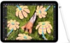 Picture of Apple Pencil Pro