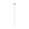 Picture of USB-C to 3.5mm Headphone Jack Adapter